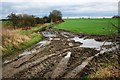 Field, Near Moor House