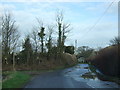 Road into Sydling St Nicholas with stream alongside