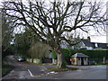 Sydling St Nicholas crossroads and The Tree