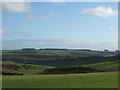 View across  South Field Down