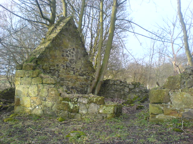 Ruined house near the Binn.