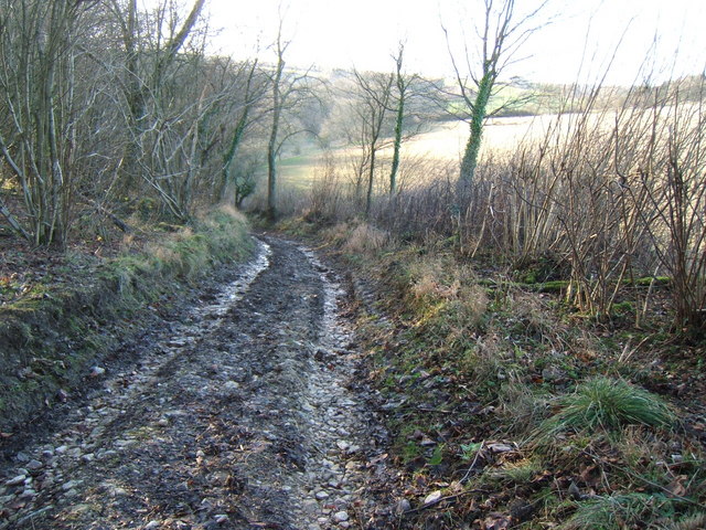 Burcombe Lane
