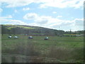 Winscombe playing fields