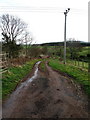 Farm Track at  Littledean Farm, near Ayton