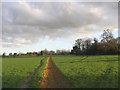 Footpath to Camer Park