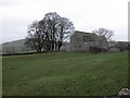 Barn and copse