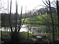 SJ2269 : Duck pond near Bryn Eithin farm by Peter Craine
