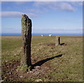 SS7247 : Standing stones on Lyn Down by Thor Beverley