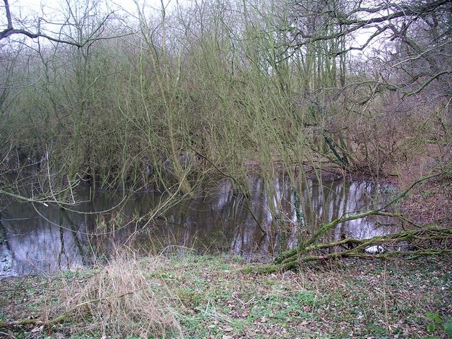 Felley Mill pond