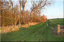 NJ9362 : Footpath to the south of Tyrie Mains. by Des Colhoun