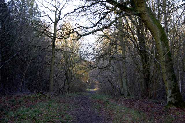 Bourne Woods, Lincolnshire © Kate Jewell cc-by-sa/2.0 :: Geograph ...