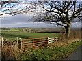 Yorkshire Farmland.