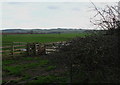 NT9061 : Farmland at East Reston, near Ayton by Lisa Jarvis