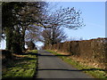 The road to Stock Beck Moor