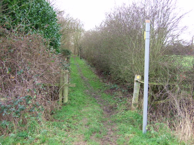 Footpath to New Gorse Fox Covert.