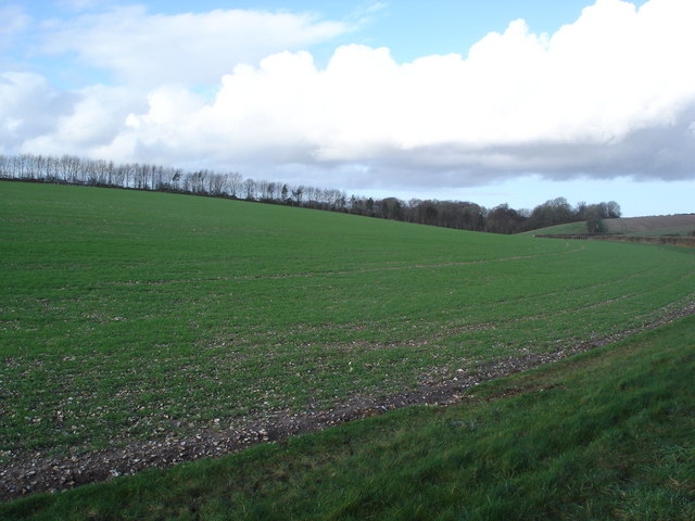 Newfield Farm land © Toby cc-by-sa/2.0 :: Geograph Britain and Ireland