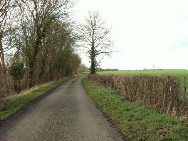 Country road, just south of High Easter