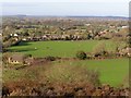 Ibsley from Ibsley Common, New Forest