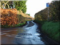 View along Molland Lane from Knell Lane.