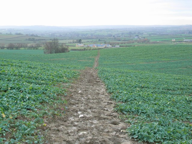 Footpath and Famington Farm