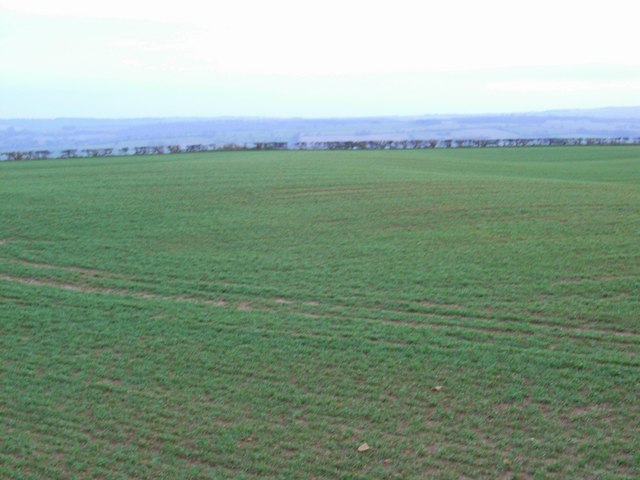 Looking South from Highwall Spinney