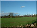 Farmland near Osbaston and Waen