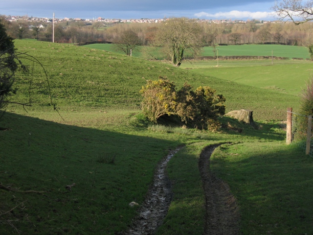 Track  to Plas Newydd Farm