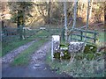 Gate and Stile at Hesp Alyn Farm