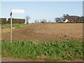 Ploughed field