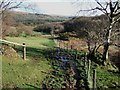 Footpath east of Broomage Wood