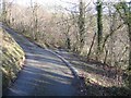 Road Track Junction in Nant Alyn