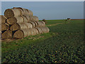 Straw bales, Childrey Field