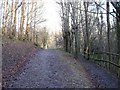 Entering Goatfield Arboretum