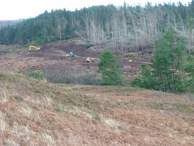 Clear Felling in Hinnisdal Forest © Dave Fergusson :: Geograph Britain ...