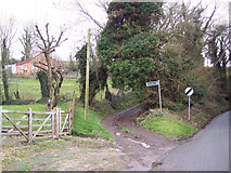 ST9923 : Bridleway from Ebbesbourne Wake to Bowerchalke by Maigheach-gheal