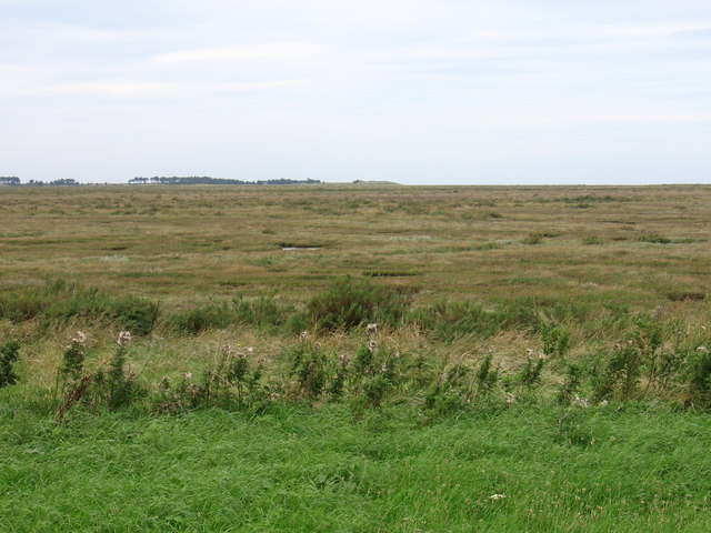Warham Salt Marshes at Warham Greens
