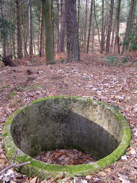 Concrete remains in Newlands Plantation, New Forest