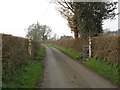 Gateposts, The Willows