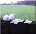 Geocache stash and landscape