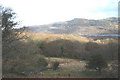 An abandoned cart track to Ffridd Glyn Quarries