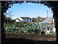 Vegetable patch, Woolley Moor