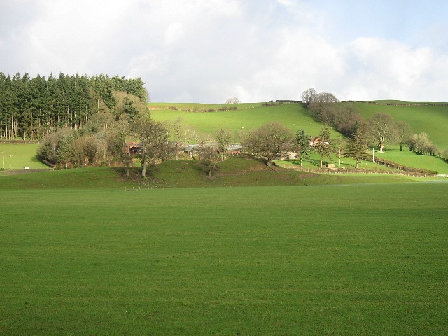 Pasture, Farm And Wood