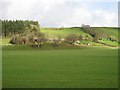 Pasture, Farm And Wood