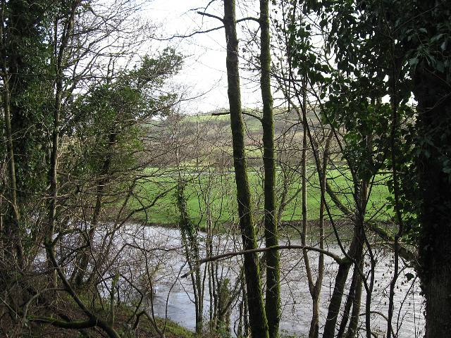 The Afon / River Banwy