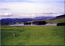 NN9067 : Loch Moraig by wfmillar