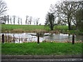 The village pond, Coldred.