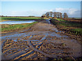 Bridlepath to Windwhistle