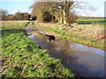 Bridlepath past the Poor Patch