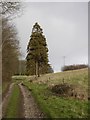 Track along Cuttice Bottom