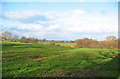 Winter sun on rolling pasture north of Oss Mere